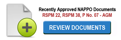 APPROVED DOCUMENTS THUMB_ENGLISH.png