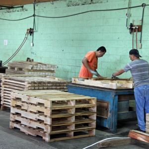 Promaderas-9_making_pallets.jpg